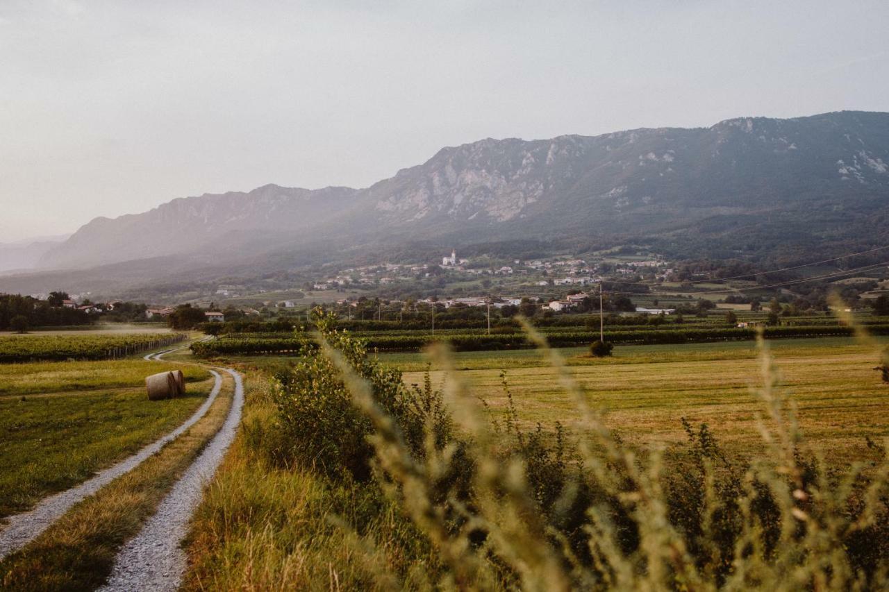 Ferienwohnung Kmetija Tomazic Vinska Klet - Winery Vipava Exterior foto